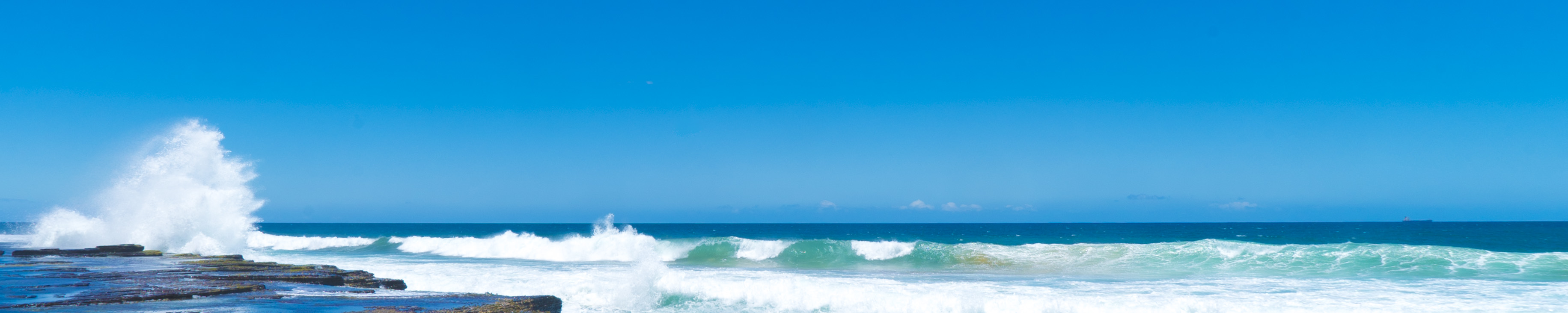 海纳百川  锐意进取